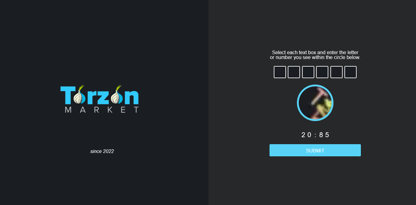 torzon-login-captcha-gate-closeup